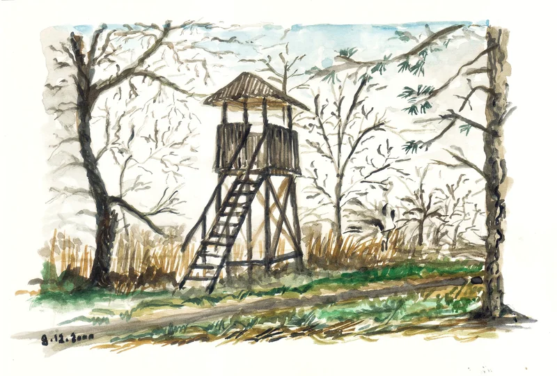 A raised wooden lookout with a ladder among bare trees and green ground.