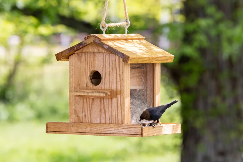 A hanging wooden birdhouse/feeder with a pitched roof and tray, visited by a small bird.